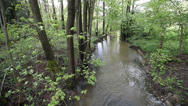 Nejvt nov plnovan vodn dlo na Vysoin experti umstili do dol meandrujcho Strskho potoka ke ru nad Szavou.