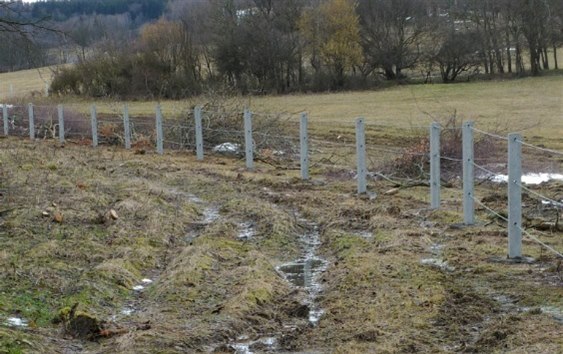Lidem z Blatna, Radenova, Květnova a dalších okolních obcí v Krušných horách na Chomutovsku se nelíbí výstavba oplocení na místních pastvinách.