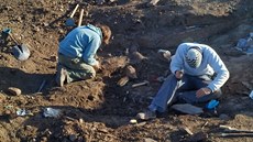 Paleontologové objevili v Argentin zhruba 70 milion let staré pozstatky...