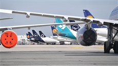 Letadla společnosti Lufthansa uzemněná na mezinárodním letišti v Mnichově....