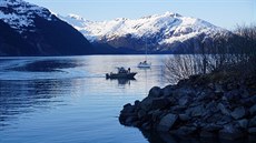 Na Aljace zaíná sezona lovu losos.Spolu s rybái a dlníky ale míí do...