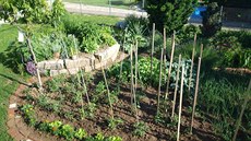 Zeleninové záhony a bylinková spirála loni v lét. 