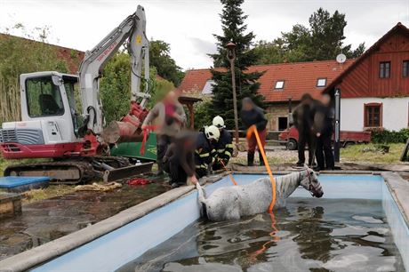 Hasii se snaili vytáhnout kon z bazénu v Úhlejov (25. 5. 2020).