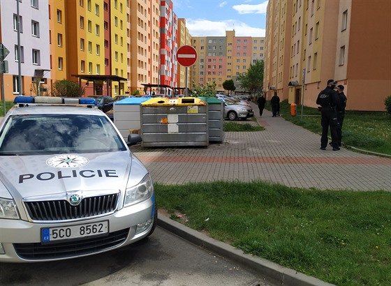 K incidentu došlo v ulici V. Volfa na českobudějovickém sídlišti Máj.