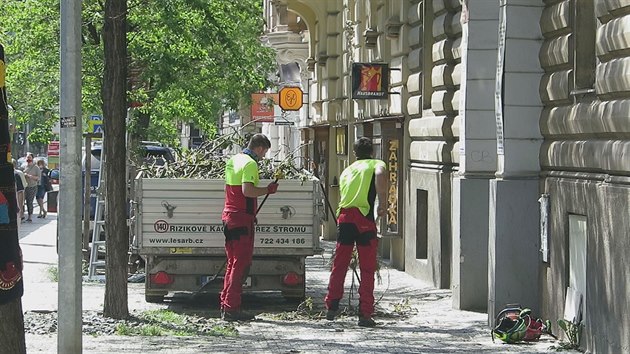 Na praských Vinohradech zaala pravidelná jarní údrba zelen