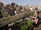 Manal Adadaová zalévá rostliny na stee budovy v libanonském Bejrútu. Kvli...