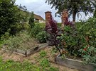 Nae zeleninová zahrada se inspiruje permakulturními postupy. Hnojíme kompostem...