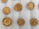 Nálezce předal muzeu soubor 74 zlatých mincí (dukátů), které pocházejí z druhé...