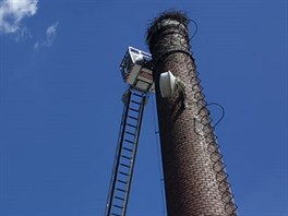 Záchrana áp z komína v Hoátvi na Nymbursku
