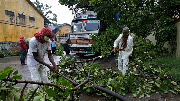 Supercyklon Amphan dorazil na indick pobe. Lid v Kalkat odstrauj spadl strom. (20. kvtna 2020)