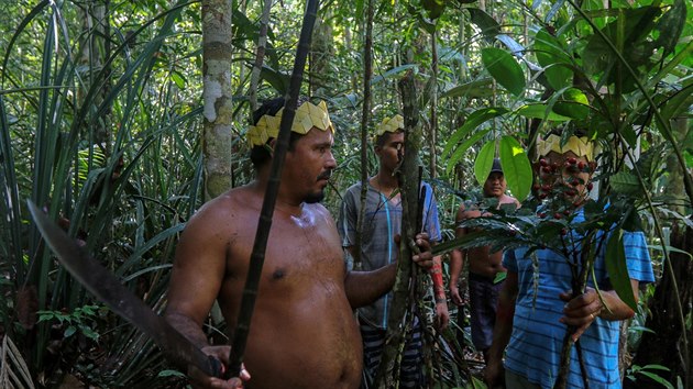 Skupina brazilských indiánů z etnika Sateré-Mawé hledá léčivé byliny, které pomáhají proti příznakům onemocnění covid-19. (17. května 2020)