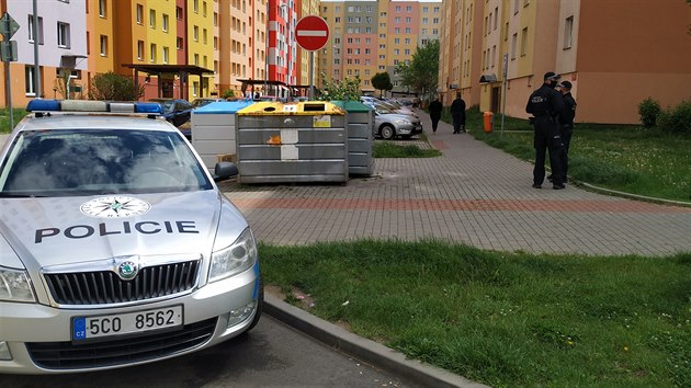 V budjovick ulici V. Volfa jsou celou nedli po sobotnm incidentu hldky mstsk i sttn policie.
