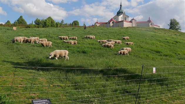 Ve středu odpoledne už se ovce začaly pást na turisty hojně vyhledávaném místě.