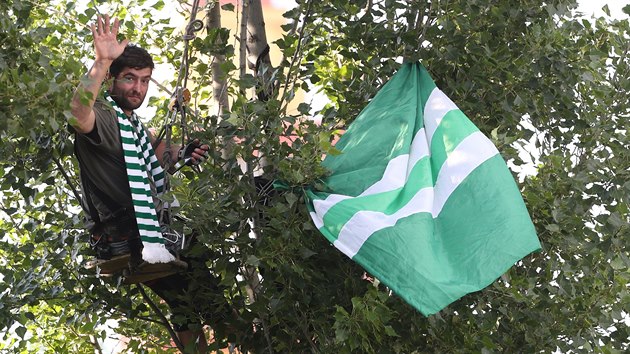 Jeden z fanouk Bohemians sledoval ligov utkn proti Teplicm ze stromu.