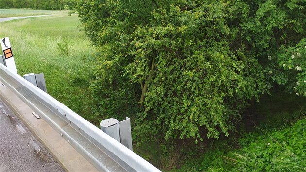 Zatka mezi Krhovicemi a Hodonicemi na Znojemsku, u n nkolik dn leel v hout mrtv motork.