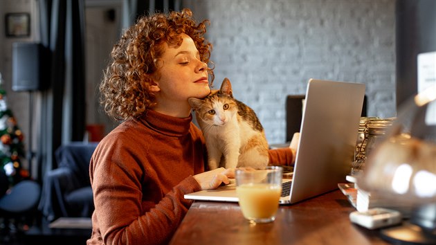 Pokud pracujete doma, bývají kočky opravdu kontaktními asistentkami. Pokud do vás drcají, vyjadřují vám náklonnost. Pokud u toho i mňoukají, doufají, že z vás vypadne něco dobrého.
