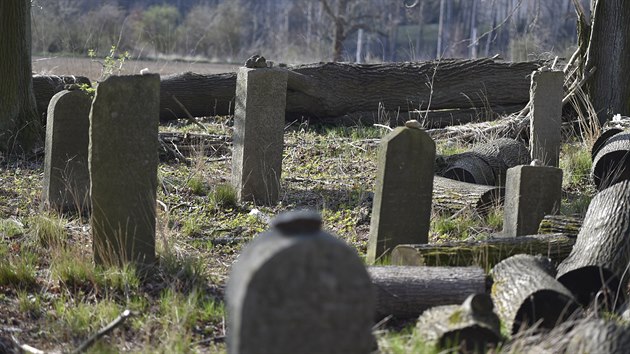 Tyfový hřbitov u Havlíčkova Brodu byl založen roku 1917. Pohřbívání zde bylo ukončeno krátce po konci první světové války. Hřbitov sloužil pro oběti epidemie, která propukla v tehdejším brodském táboře pro uprchlíky z Haliče a Bukoviny. Dnes je zde 86 náhrobních kamenů.