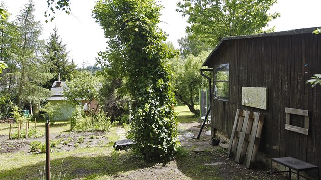 Zahrdksk kolonie Na Nebi je zelenou ozou pobl panelovho sdlit. Letos na podzim vak mus ustoupit nov vstavb. Bourat zdn chaty a kcet stromy njemnci v odvodnnch ppadech nemus.