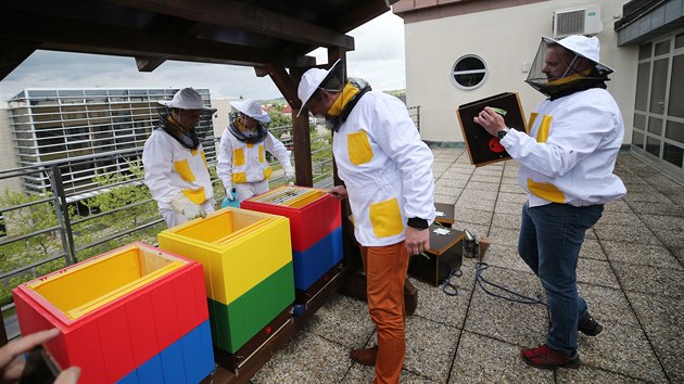 Na terase jihlavského krajského úřadu vše připravili mladí včelaři z jihlavského kroužku, který funguje v zoologické zahradě.