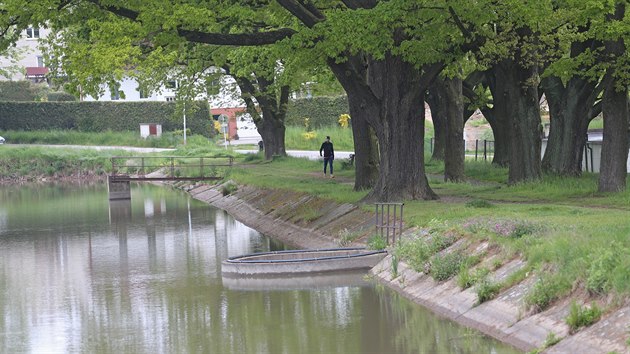 V humpoleckém rybníku Dvorák zatím není voda, v níž by se dalo koupat. To by se ale změnilo, když budou jednání mezi vedením města a rybáři úspěšná.