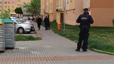 Policisté vyetují potyku na sídliti Máj v eských Budjovicích (24. kvtna...