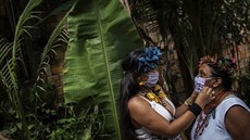 Braziltí indiáni z etnika Satere Mawe v roukách (13. kvtna 2020)