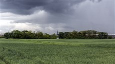 Lesík v okrajové olomoucké mstské ásti Chválkovice, kam vrah odvezl enu,...