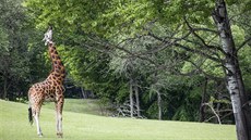 Safari Park ve Dvoe Králové (21. 5. 2020)