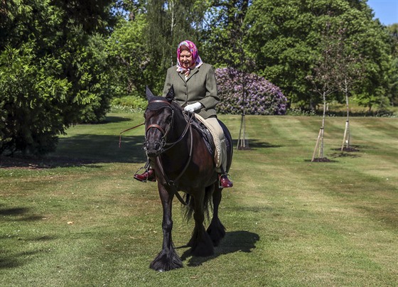 tyiadevadesátiletá britská královna Albta II v sedle kon Fell Ponyho pi...