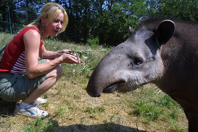 Jako mluví ústecké zoo pracovala Vra Vrabcová od roku 1994.