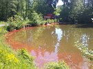 Do rybníka se vylilo a 200 litr insekticidu.