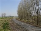 Oblouk trati na kyjovském zhlaví stanice Svatoboice  GPS: 48.9783931N,...