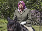Královna Albta II. bhem projíky na koni (Windsor, 31. kvtna 2020)