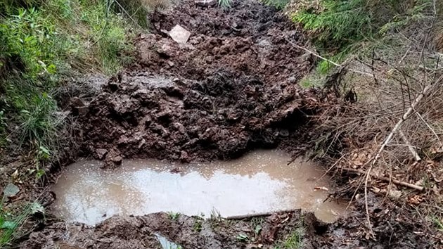 Na jedné z nepoužívaných přibližovacích cest na Velkém Javorníku vyhloubili lesníci téměř třicet tůní. Mohou pojmout až 150 tisíc litrů vody.