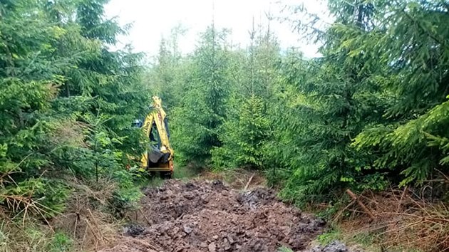 Na jedn z nepouvanch pibliovacch cest na Velkm Javornku vyhloubili lesnci tm ticet tn. Mohou pojmout a 150 tisc litr vody.