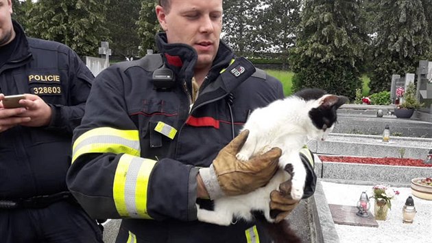 Hasiči v Horažďovicích zachraňovali kočku, která uvázla v hrobu. (7. června 2020)