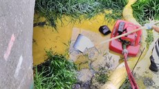 Únik byl zachycen v rákosu za místní hasiskou zbrojnicí. Po zvednutí...