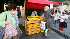 V Ústí nad Labem jdou jahody na draku.