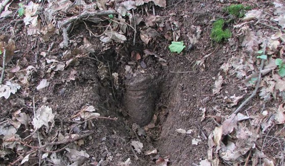 Muž v lese na Olomoucku nalezl válečnou munici (13. června 2020).