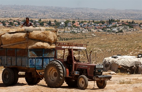 Palestinský farmá pepravuje sklize sena ve vesnici Susja na západním behu...