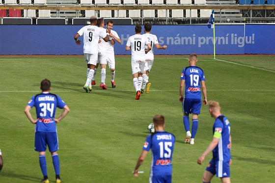 Fotbalisté Plzn se radují z gólu Tomáe Hoavy (elem) bhem zápasu s Olomoucí