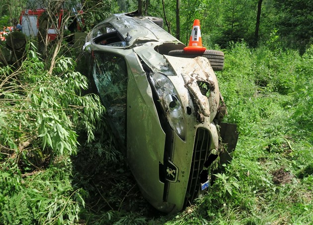 idika se ohlédla na dít na zadní sedace a vyjela ze silnice. Auto se pak...