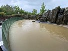 Pívalový dé v nedli odpoledne zasáhl i praskou zoo. Voda se valila...