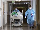 Zdravotníci v nemocnici v americkém Seattlu peváejí pacienta s koronavirem na...