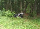 Auto po smyku u Deblína na Brnnsku skonilo v lese. Osmiletý Adam z nj i pes...