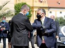 Andrej Babi a Viktor Orbán ped jednáním visegrádské skupiny (V4) na zámku v...