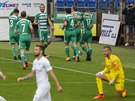 Bohemians slaví gól Matje Pulkraba na Slovácku.