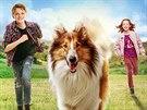 Z plakátu filmu Lassie se vrací
