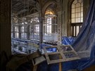 Rekonstrukce nstnnch maleb ve Velk synagoze v Plzni. (9. 6. 2020)