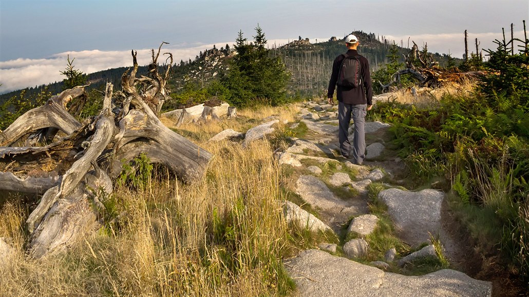 Turista na stezce nedaleko vrcholu Tístoliníku v NP umava